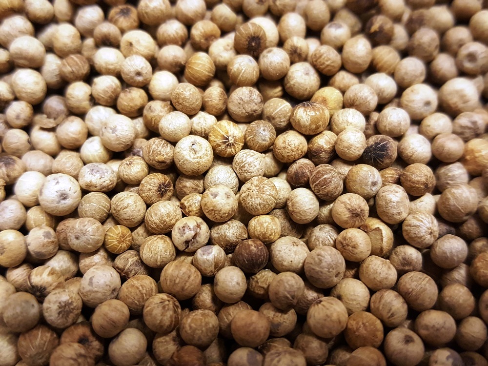 sally pepper-spices-especias-madrid-pimienta-kampot-blanca
