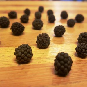 Bayas de pimienta de Assam