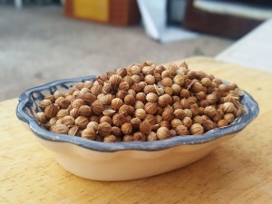 Semillas de cilantro en un pequeño cuenco de porcelana