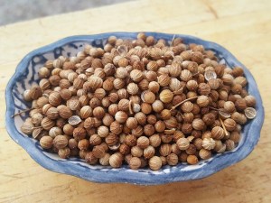 Semillas de cilantro en un pequeño cuenco de porcelana